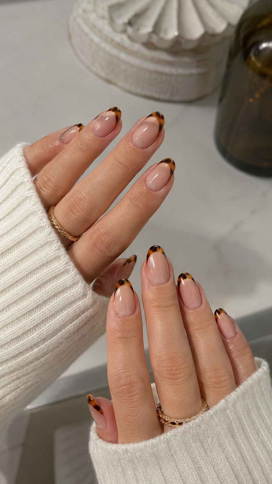 Tortoise French Tip Stickers